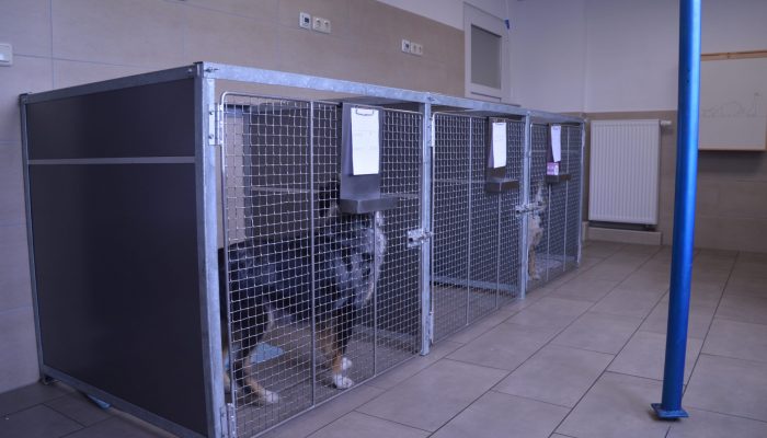 Hundestation-min-scaled-700x400.jpg